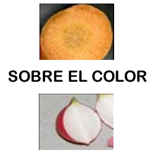 alt GALERIA img 2